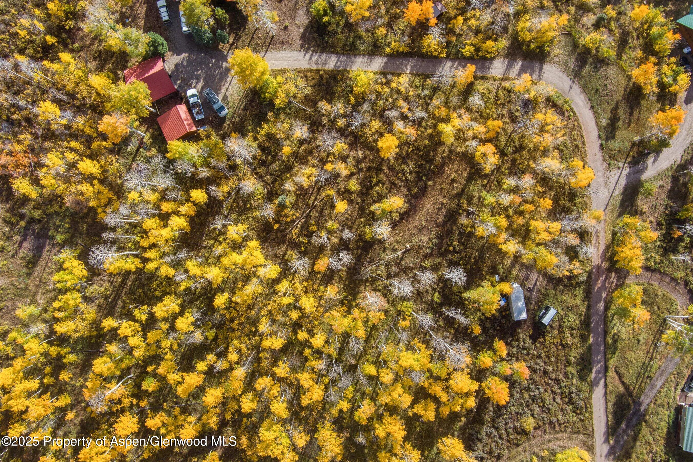 Tbd Spinnaker Lane Basalt, CO 81621 - Photo 14 of 15 a view of a tree