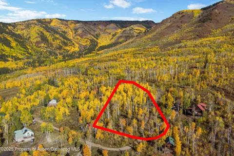 a view of under a large tree