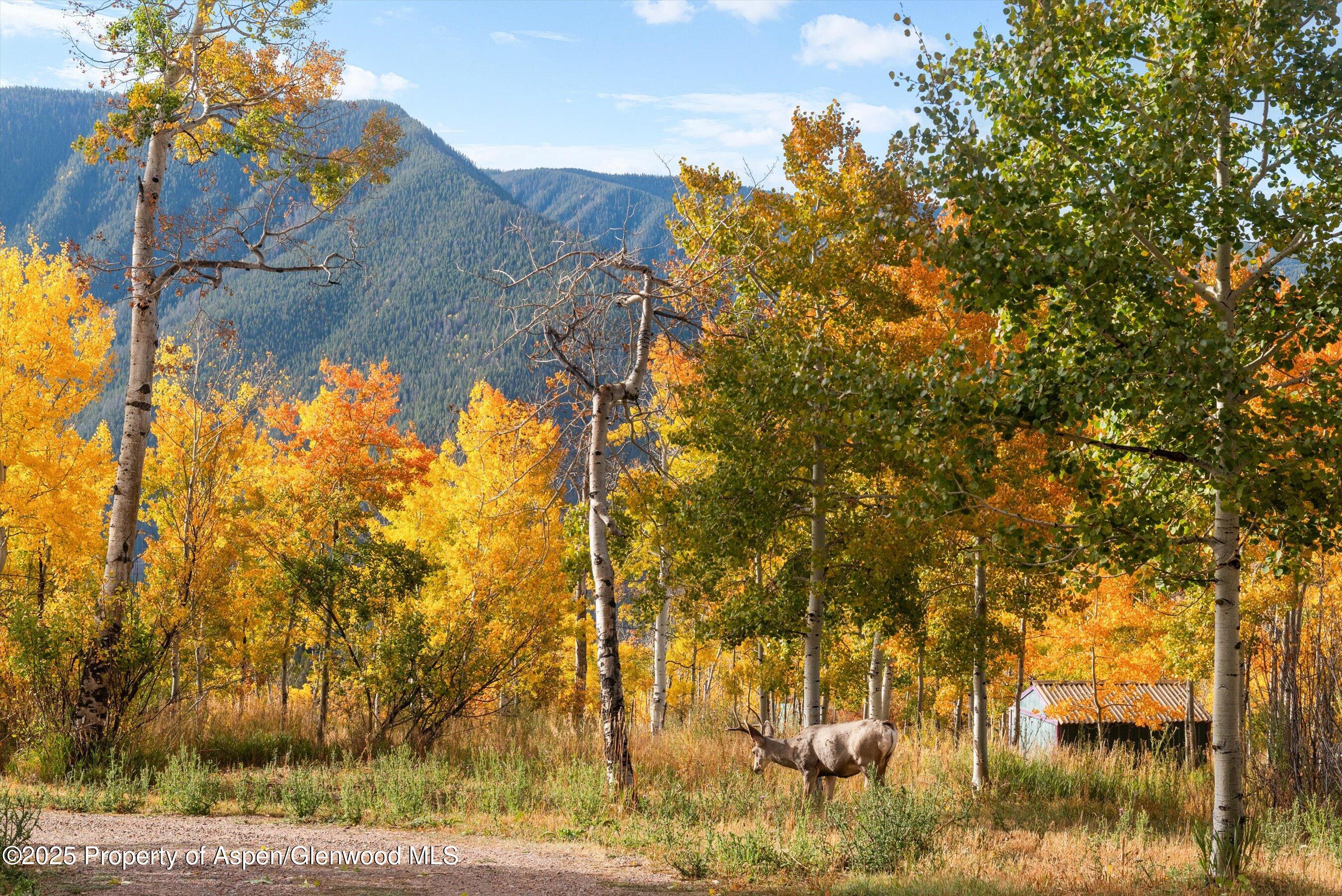 Tbd Spinnaker Lane Basalt, CO 81621 - Photo 7 of 15 a view of a lake
