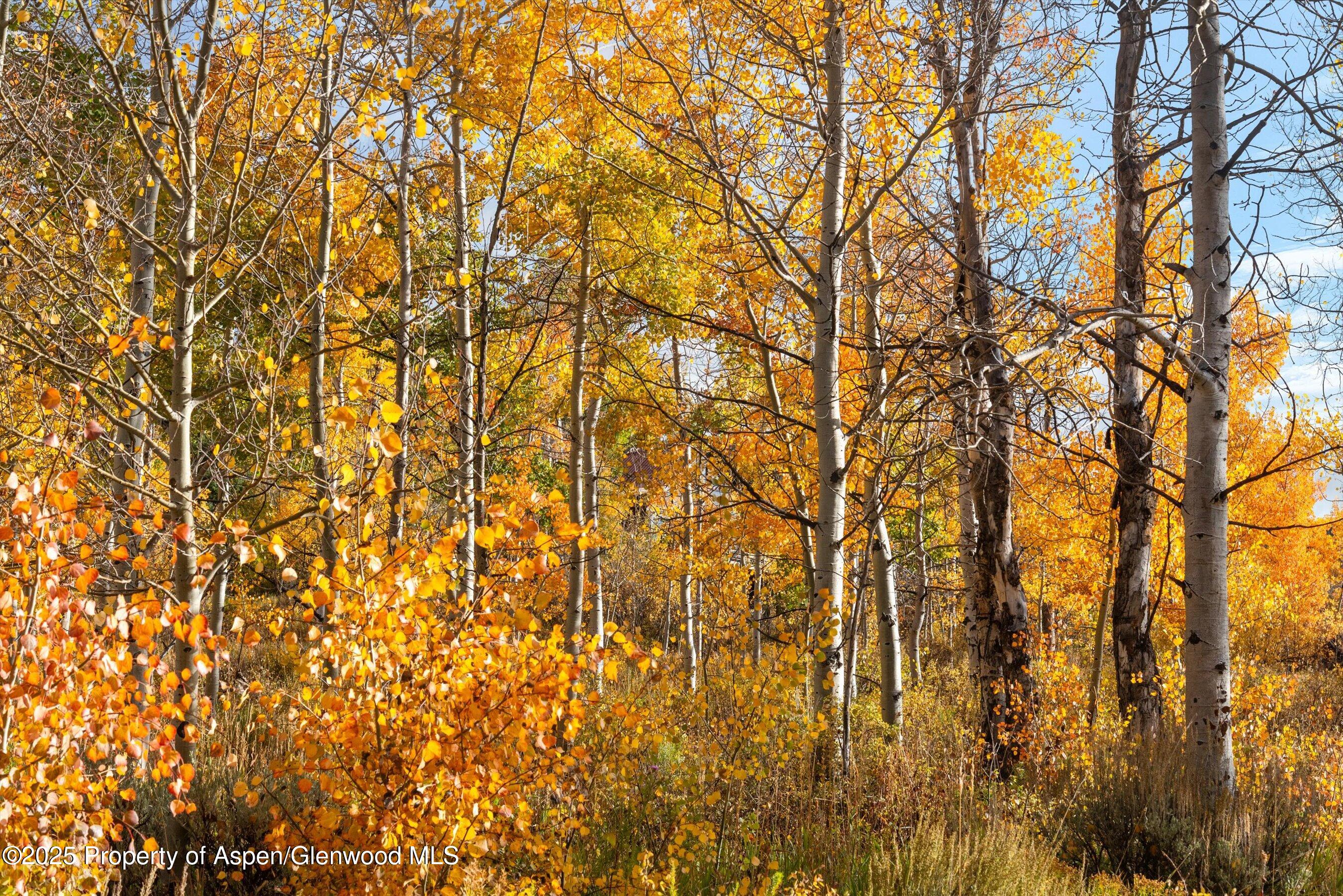 Tbd Spinnaker Lane Basalt, CO 81621 - Photo 8 of 15 a backyard of a house with a street