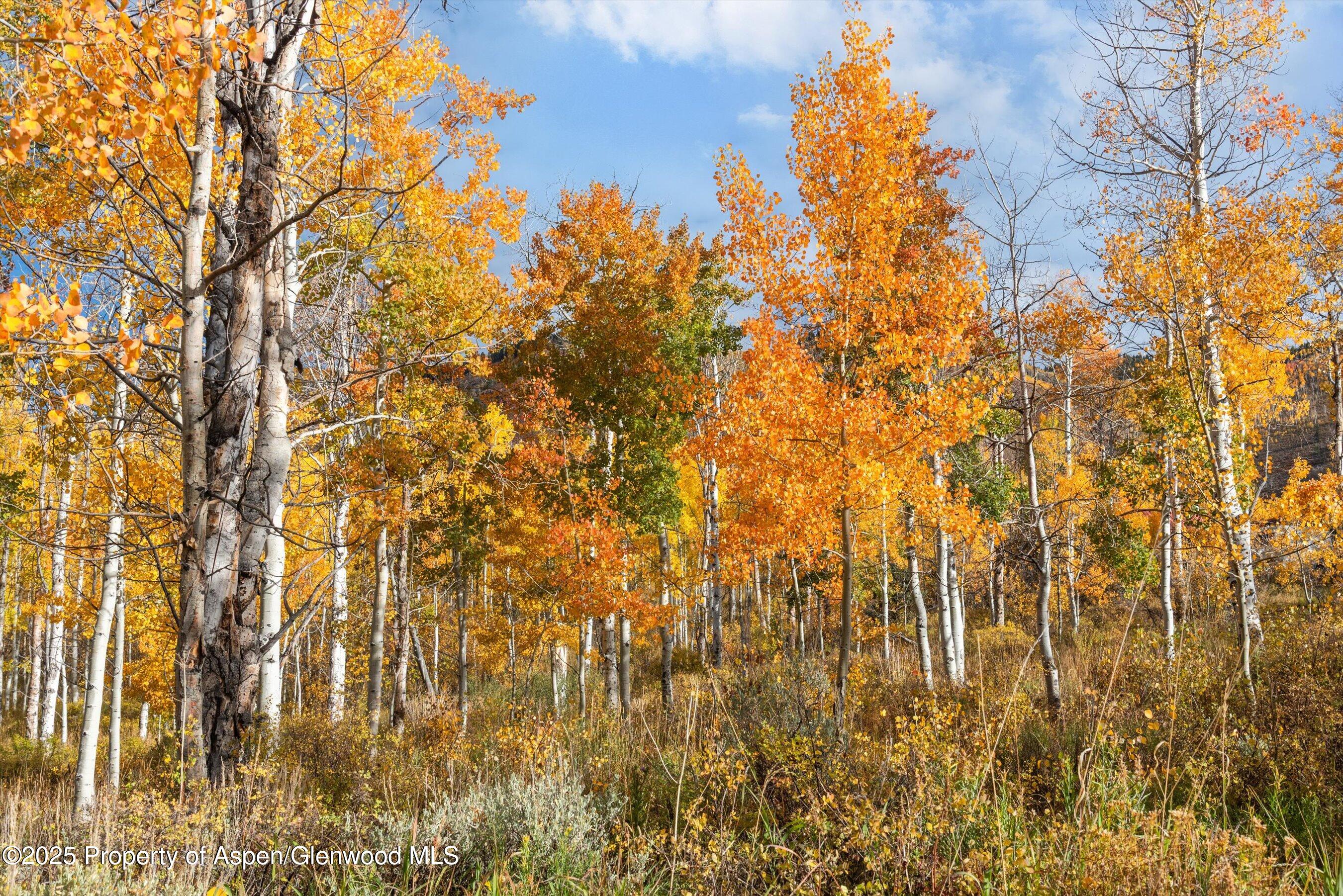 Tbd Spinnaker Lane Basalt, CO 81621 - Photo 9 of 15