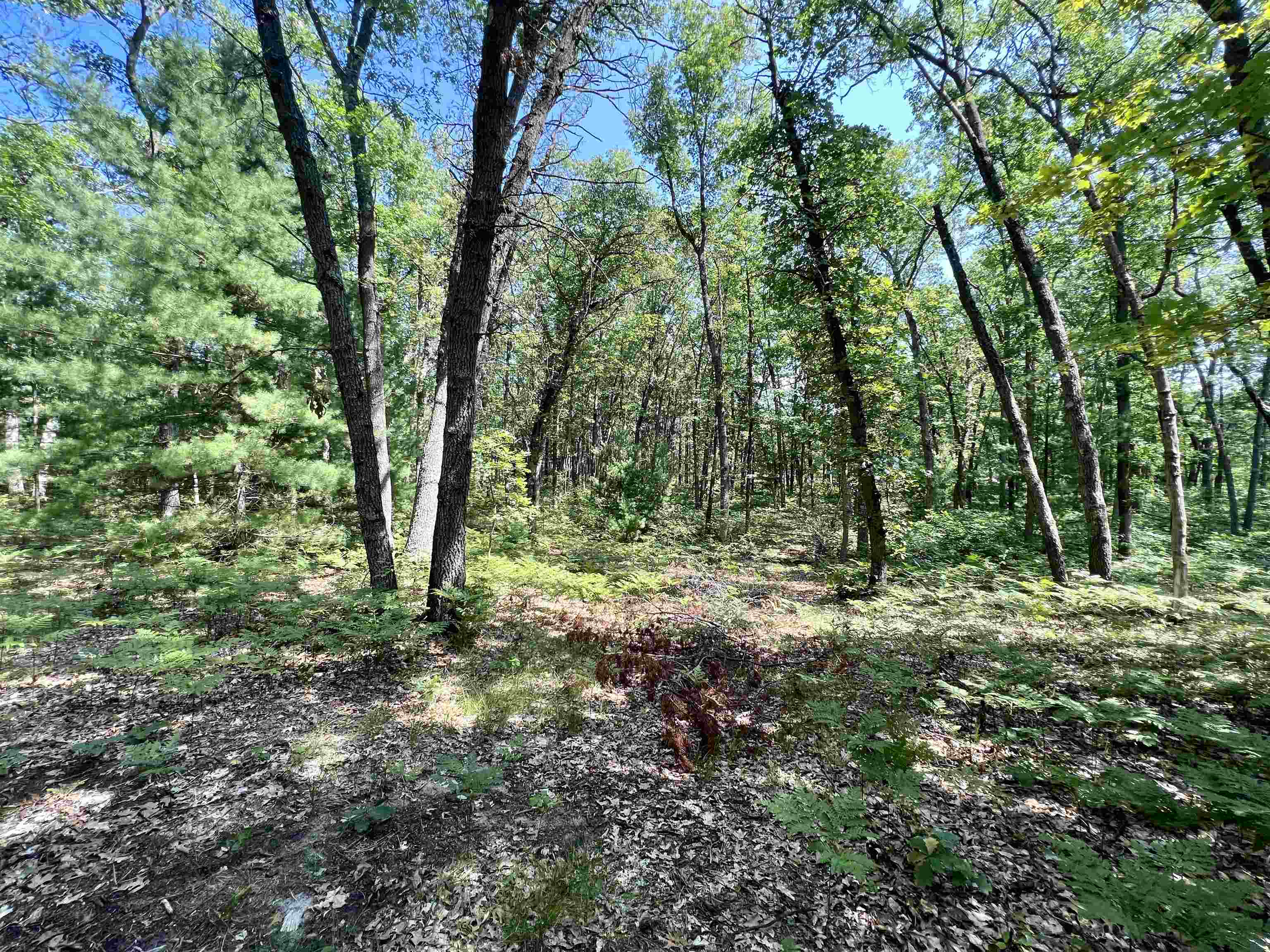 814 North Tippy Dam Road Wellston, MI 49689 - Photo 35 of 48 Gallery Image 35