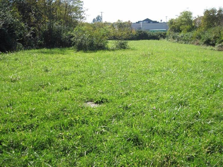 920 Old Todds Road Lexington, KY 40509 - Photo 3 of 3 Photo 3