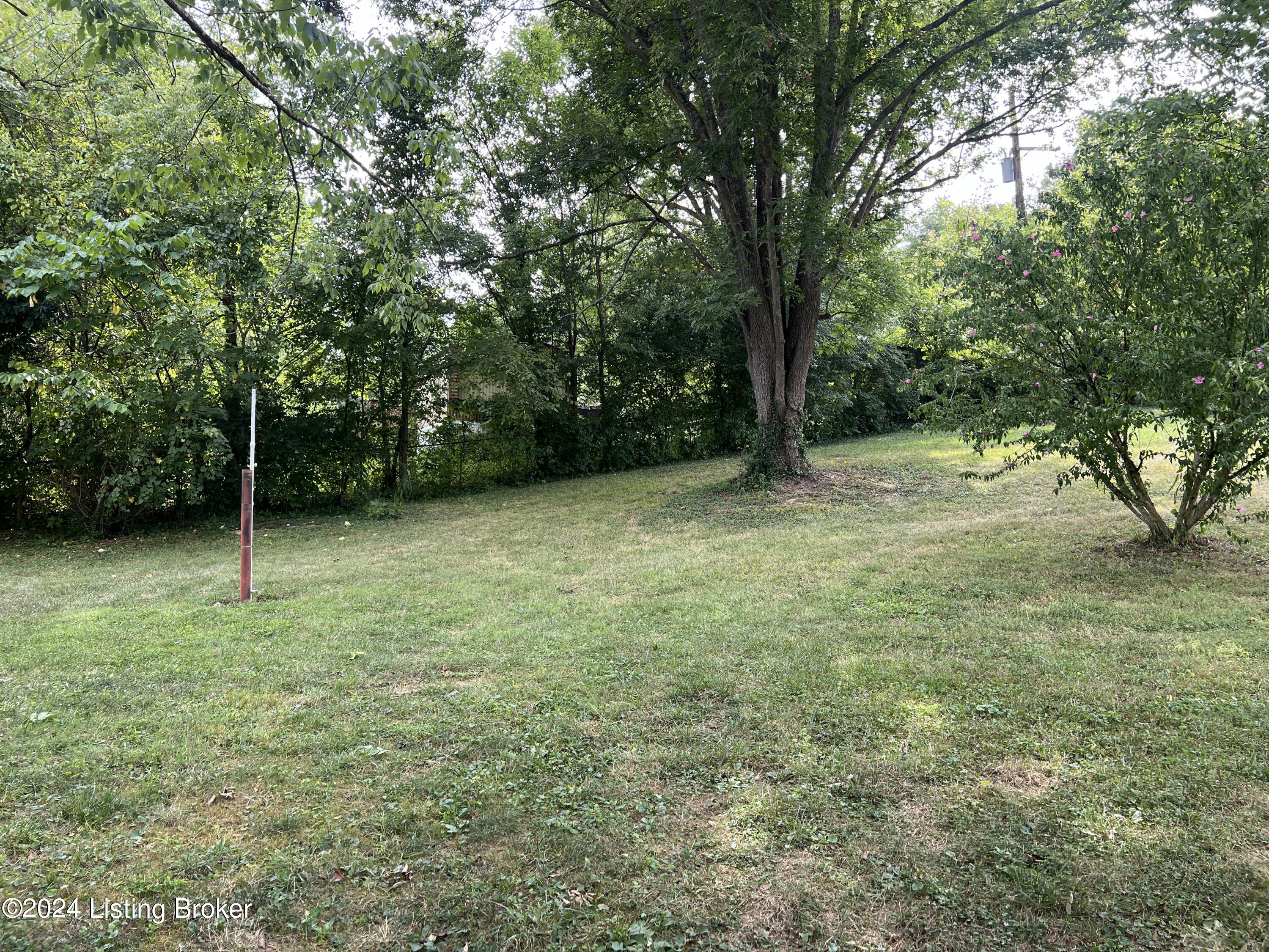425 Sheep Pen Road Frankfort, KY 40601 - Photo 21 of 23 IMG_6754