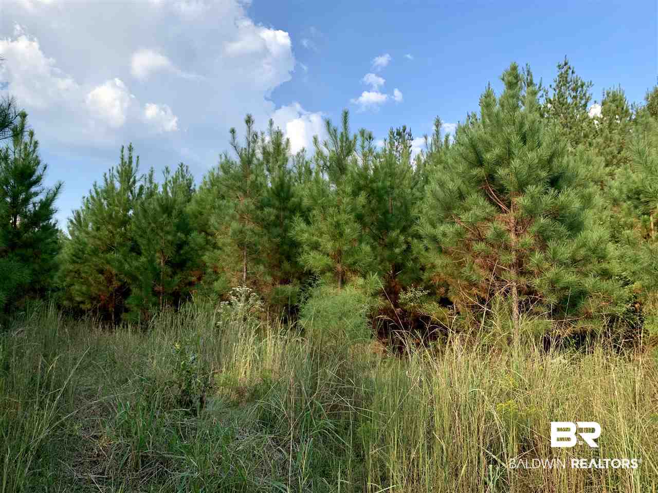 0 Holly Creek Road Stockton, AL 36579 - Photo 43 of 50