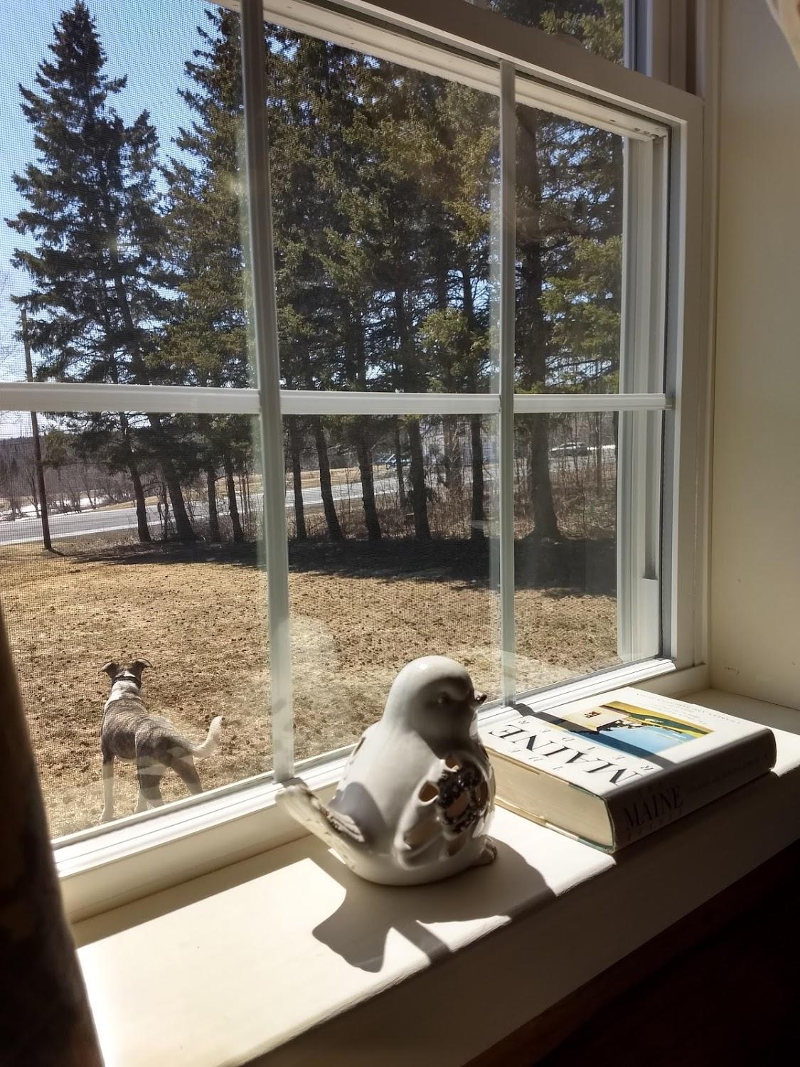 575 Haystack Road Mapleton, ME 04757 - Photo 28 of 36 view to front