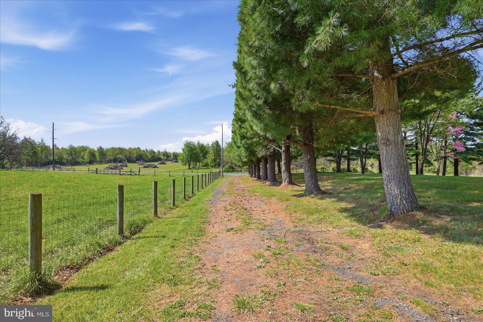 2755 Allen Road Berryville, VA 22611 - Photo 68 of 97