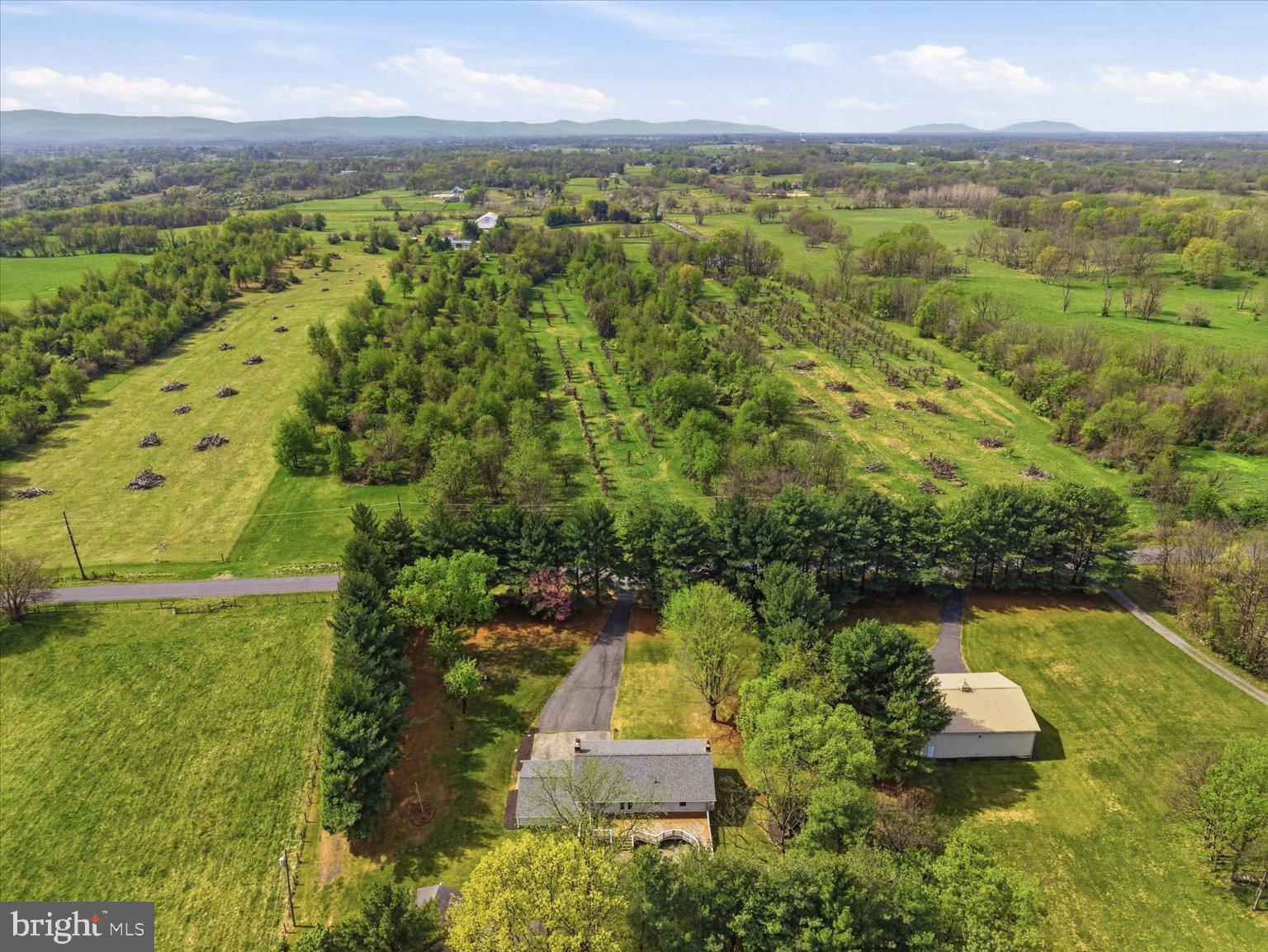 2755 Allen Road Berryville, VA 22611 - Photo 91 of 97