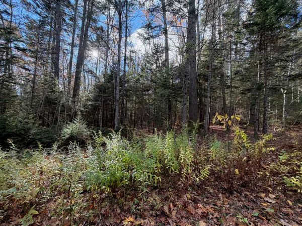 $109,000 | 0 Lockhart Cv Road, Pemaquid, ME 04558