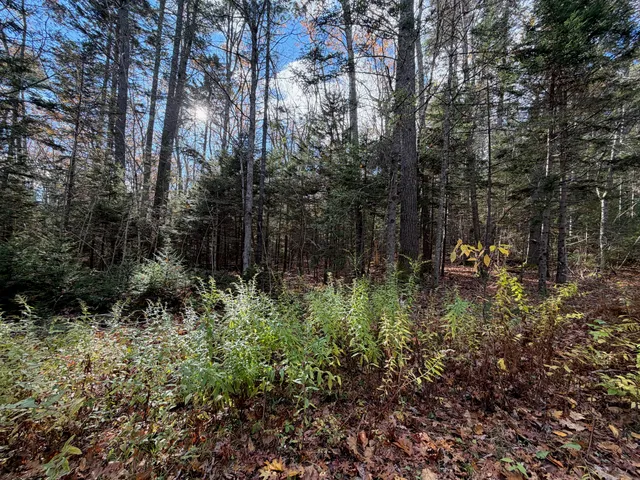 $109,000 | 0 Lockhart Cv Road, Pemaquid, ME 04558