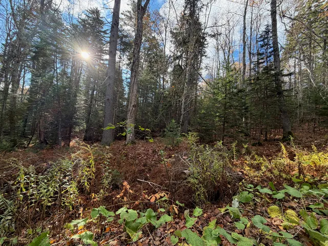 $109,000 | 0 Lockhart Cv Road, Pemaquid, ME 04558