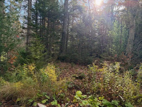 $109,000 | 0 Lockhart Cv Road, Pemaquid, ME 04558