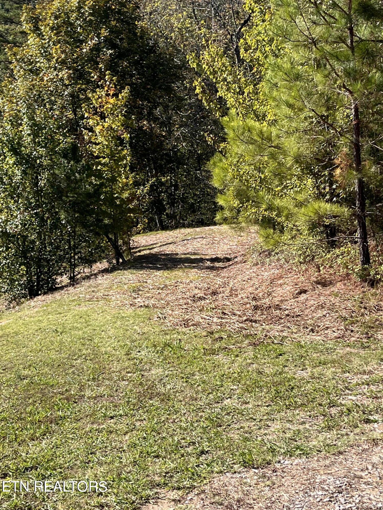 457 Shady Road Oliver Springs, TN 37840 - Photo 36 of 60 another area for home