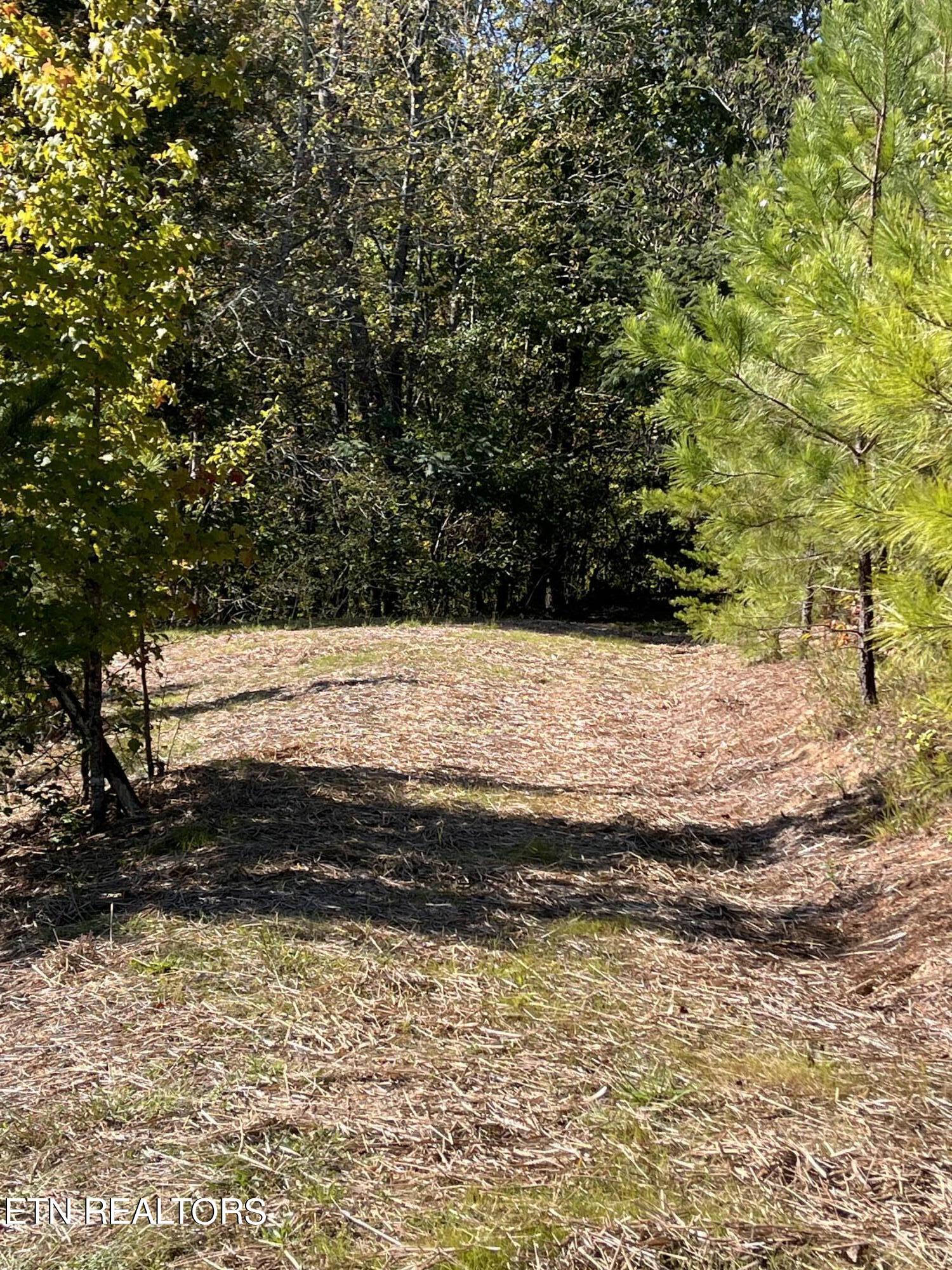 457 Shady Road Oliver Springs, TN 37840 - Photo 37 of 60 IMG_5424