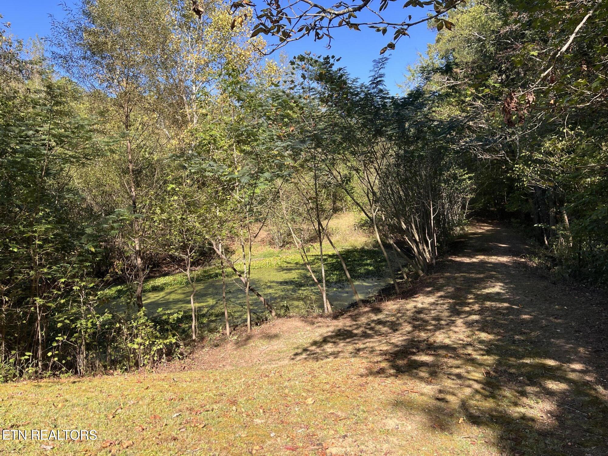 457 Shady Road Oliver Springs, TN 37840 - Photo 47 of 60 Pond