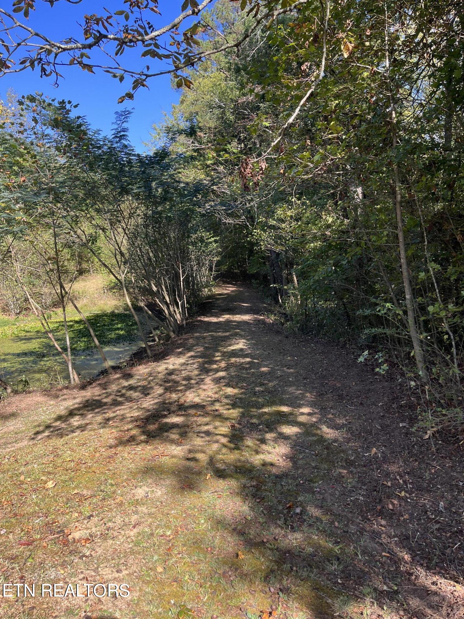 457 Shady Road Oliver Springs, TN 37840 - Photo 48 of 60 Road to pond