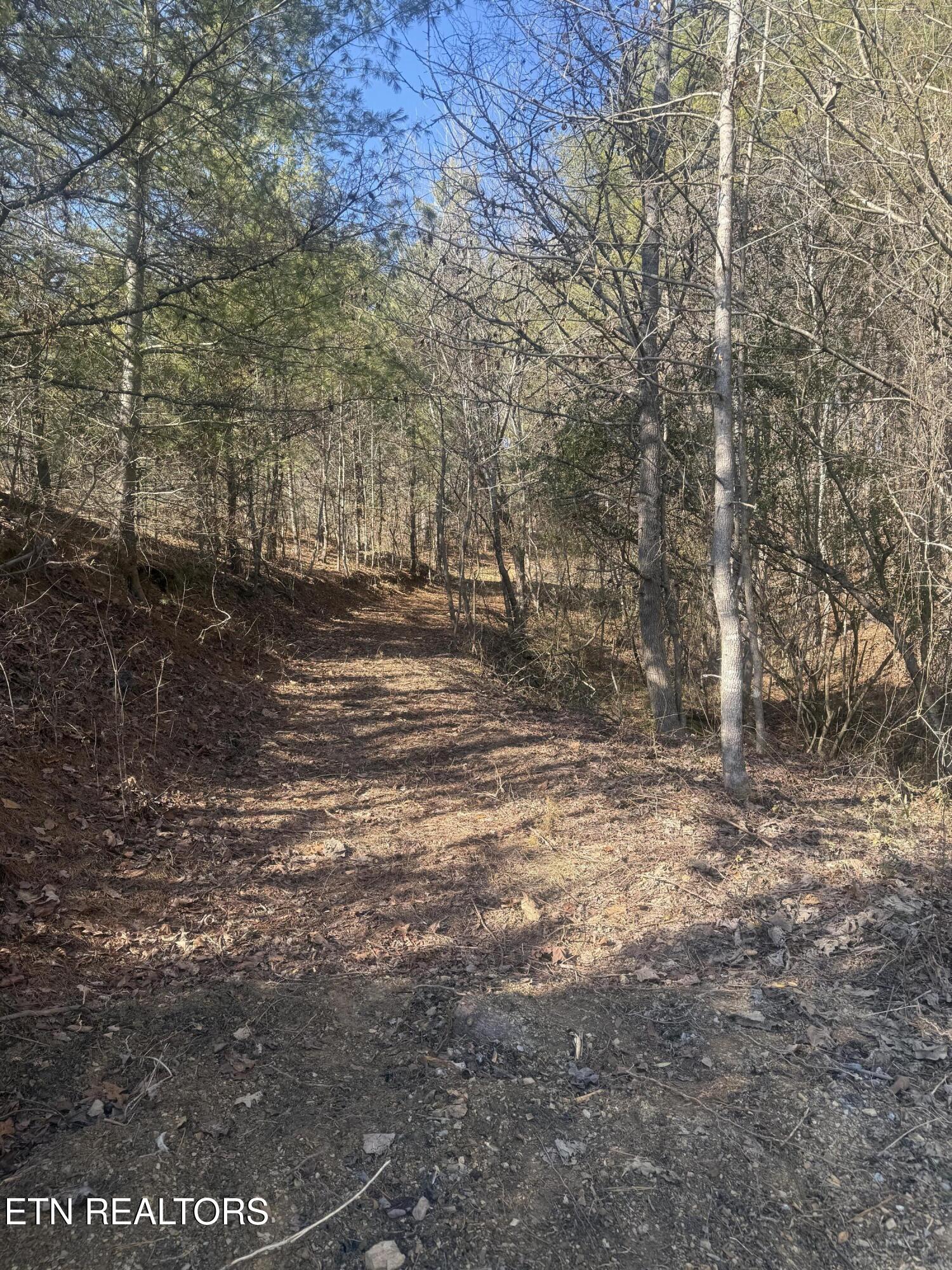 457 Shady Road Oliver Springs, TN 37840 - Photo 60 of 60 3 bldg site