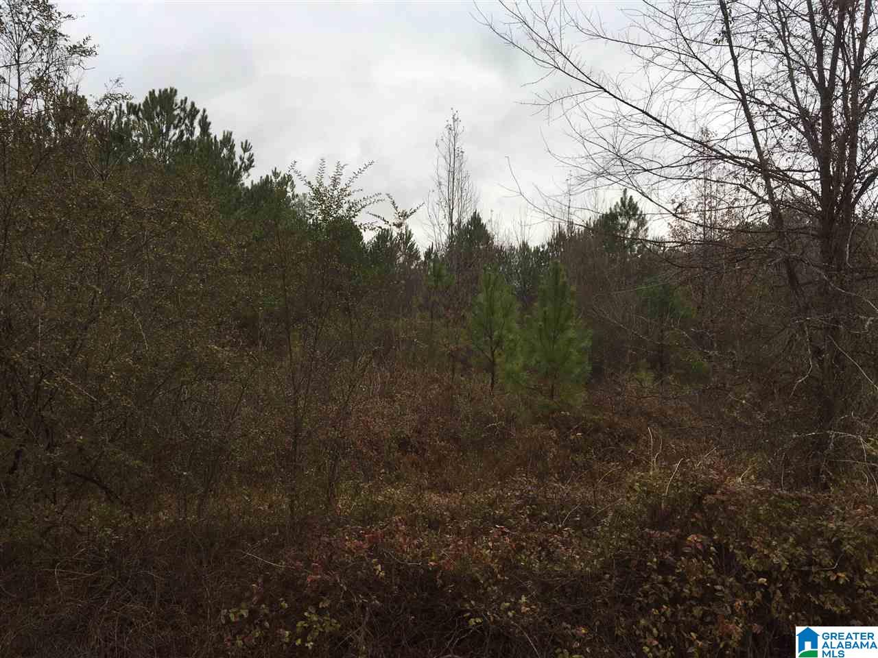 Jackson Trace Road, Unit 28 Ohatchee, AL 36271 - Photo 19 of 28