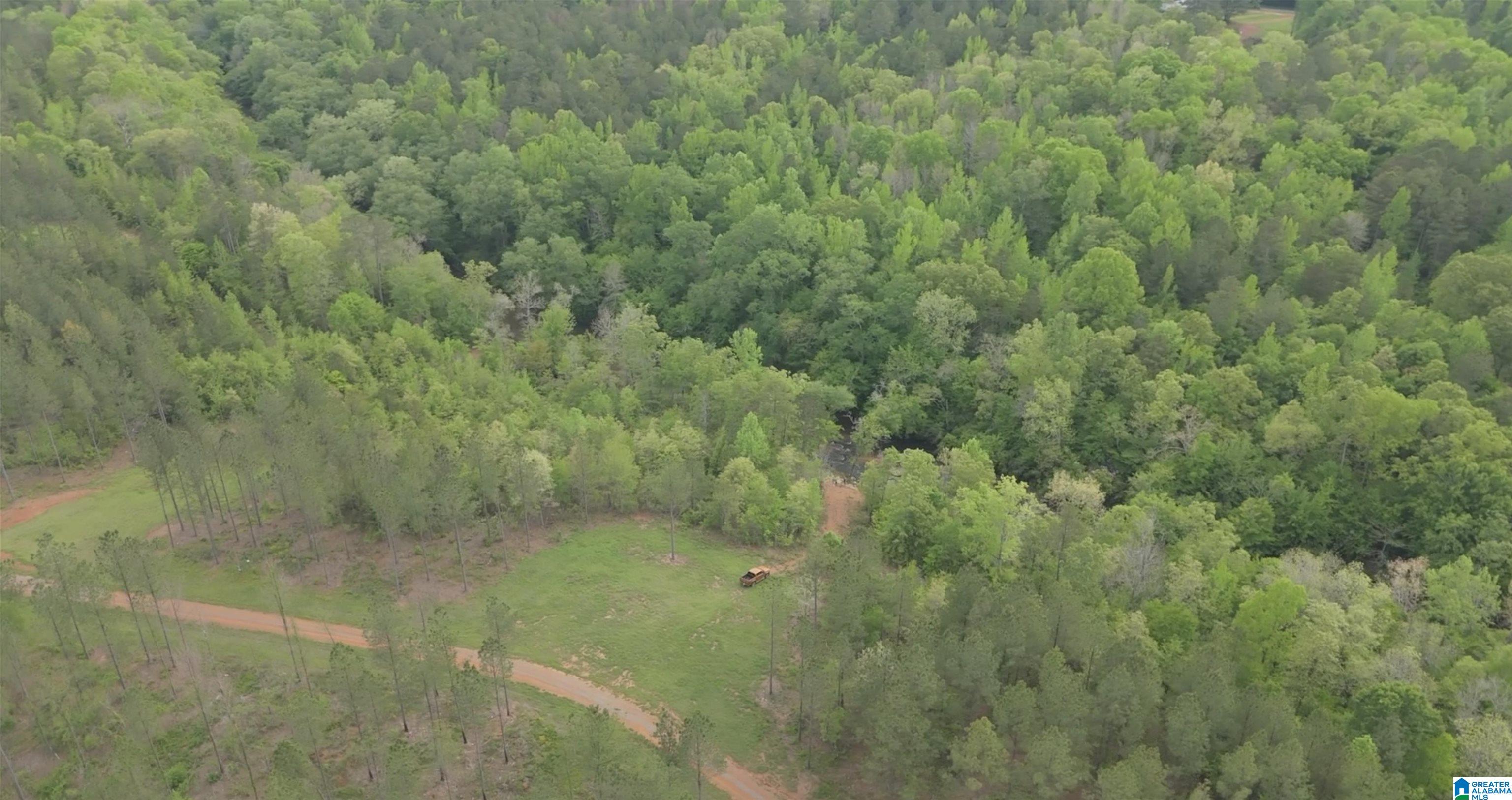 1051 Pate Road, Unit TRACT 5 AND 6 Cragford, AL 36255 - Photo 24 of 34