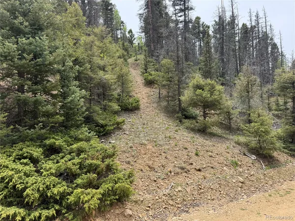 $18,500 | Lot 6795 Starkweather Road, San Luis, CO 81152