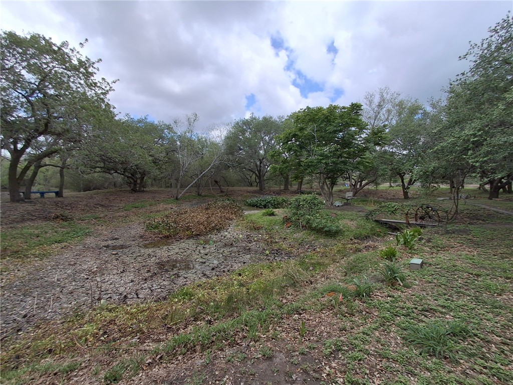 9213 Pvt 6005 Road Sinton, TX 78387 - Photo 4 of 24 open meadows to build or picnic