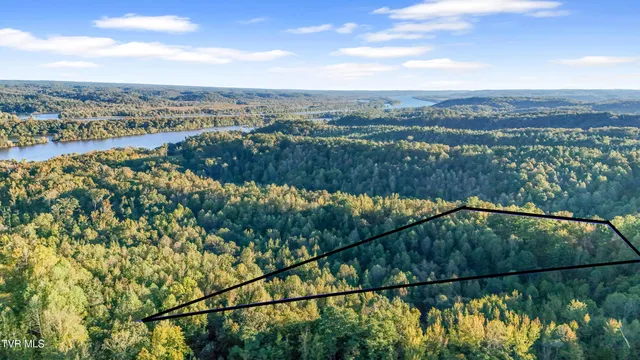 $19,900 | 0 Ward Hill Road, Unit 1, Holladay, TN 38341