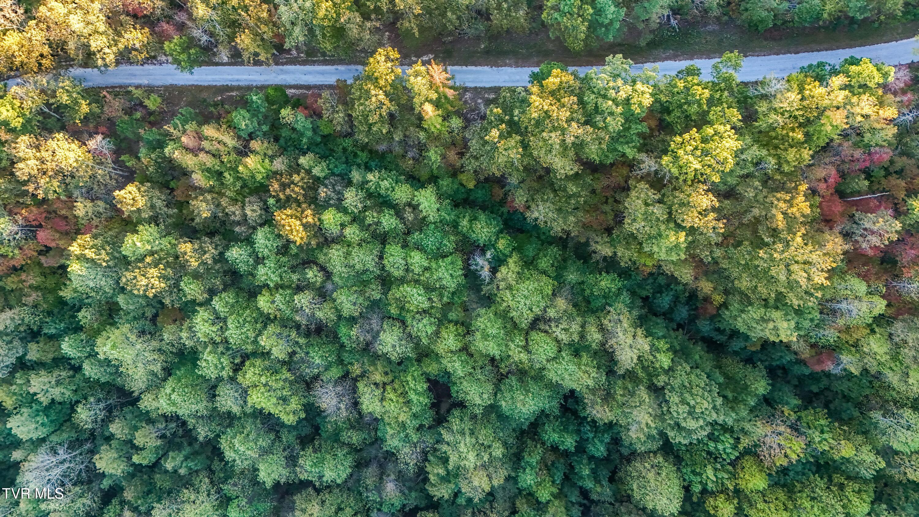 0 Ward Hill Road, Unit 1 Holladay, TN 38341 - Photo 17 of 20 DJI_20251015173718_0025_D