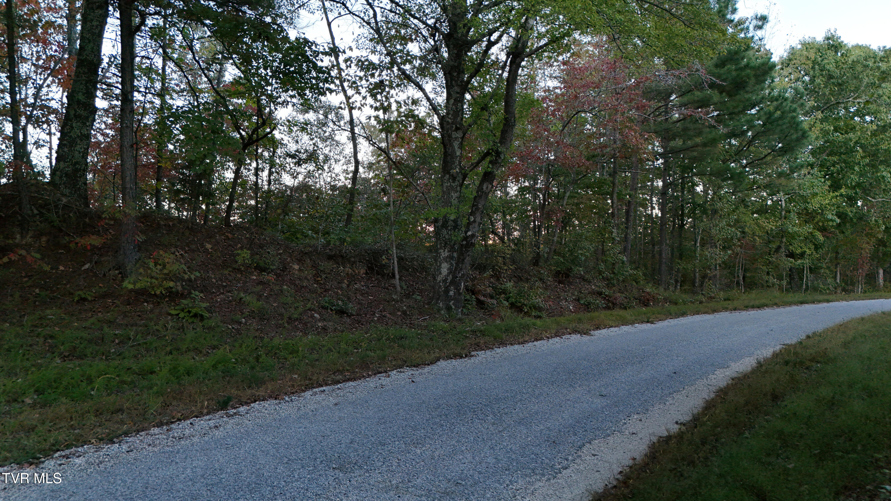 0 Ward Hill Road, Unit 1 Holladay, TN 38341 - Photo 19 of 20 DJI_20251015175252_0042_D_scaled