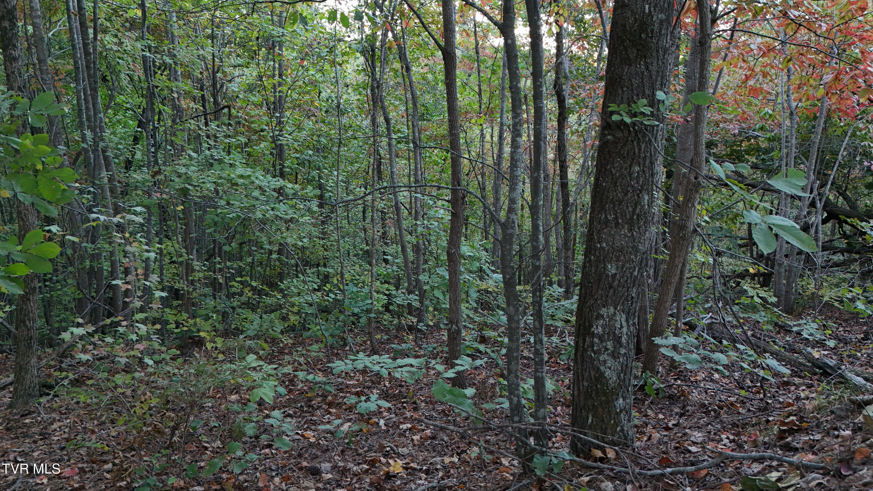 0 Ward Hill Road, Unit 1 Holladay, TN 38341 - Photo 20 of 20 DJI_20251015175413_0044_D_scaled