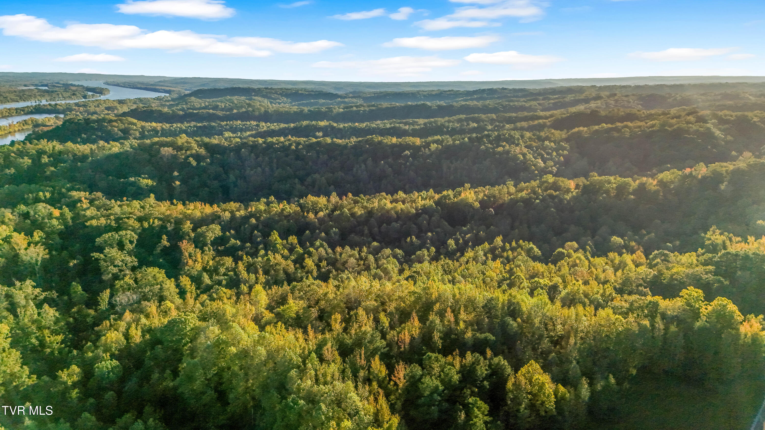 0 Ward Hill Road, Unit 1 Holladay, TN 38341 - Photo 5 of 20 DJI_20251015171733_0007_D