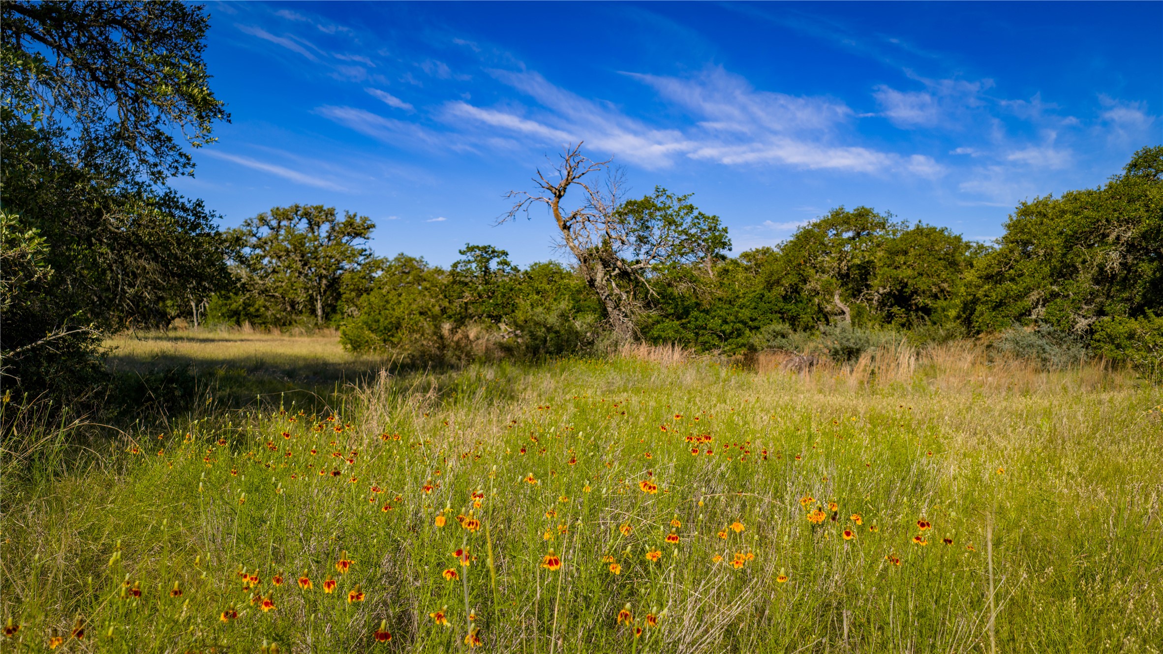 3276 Link Road Doss, TX 78618 - Photo 26 of 35