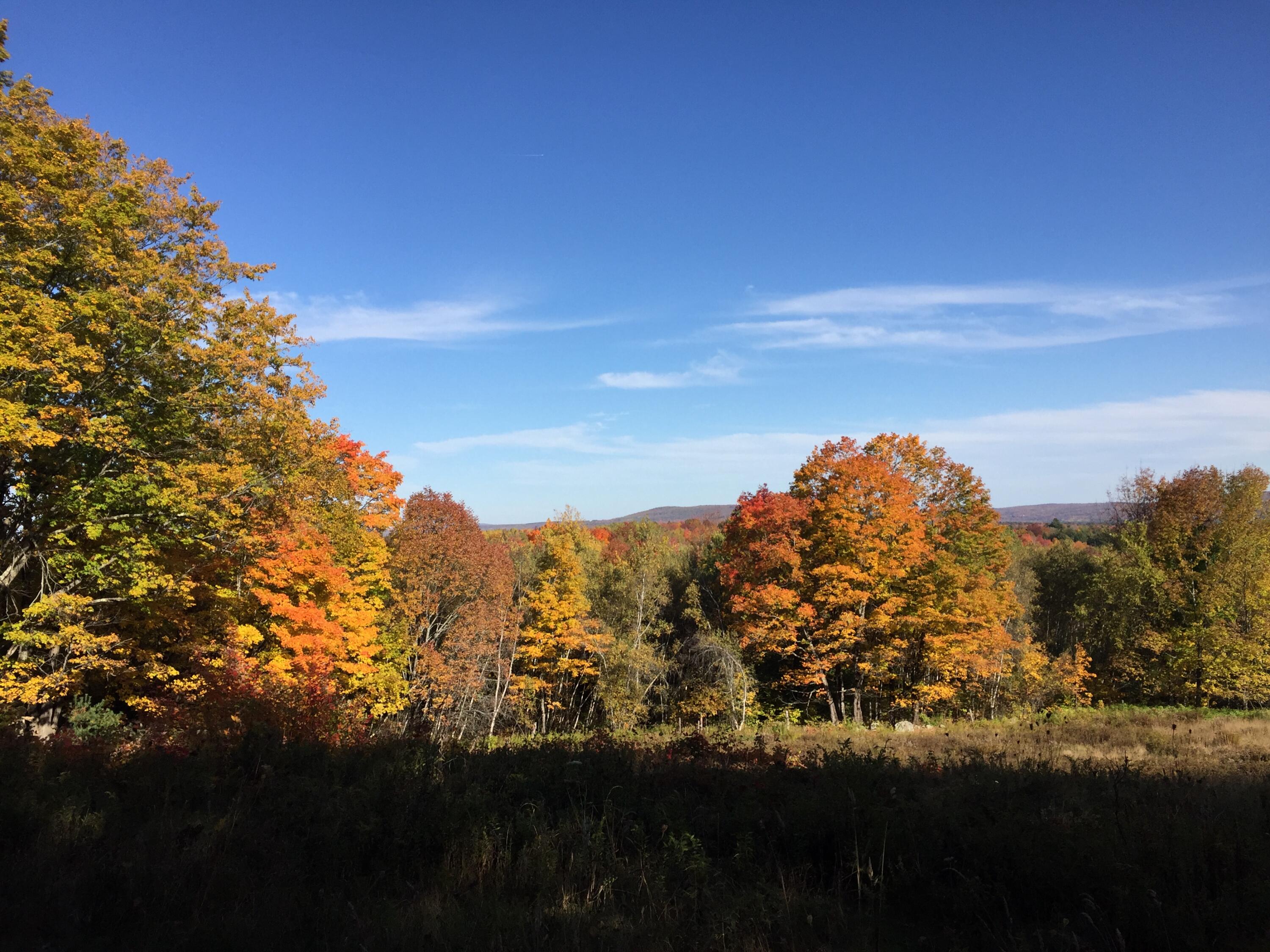 4 Map Road Harmony, ME 04942 - Photo 4 of 20 4