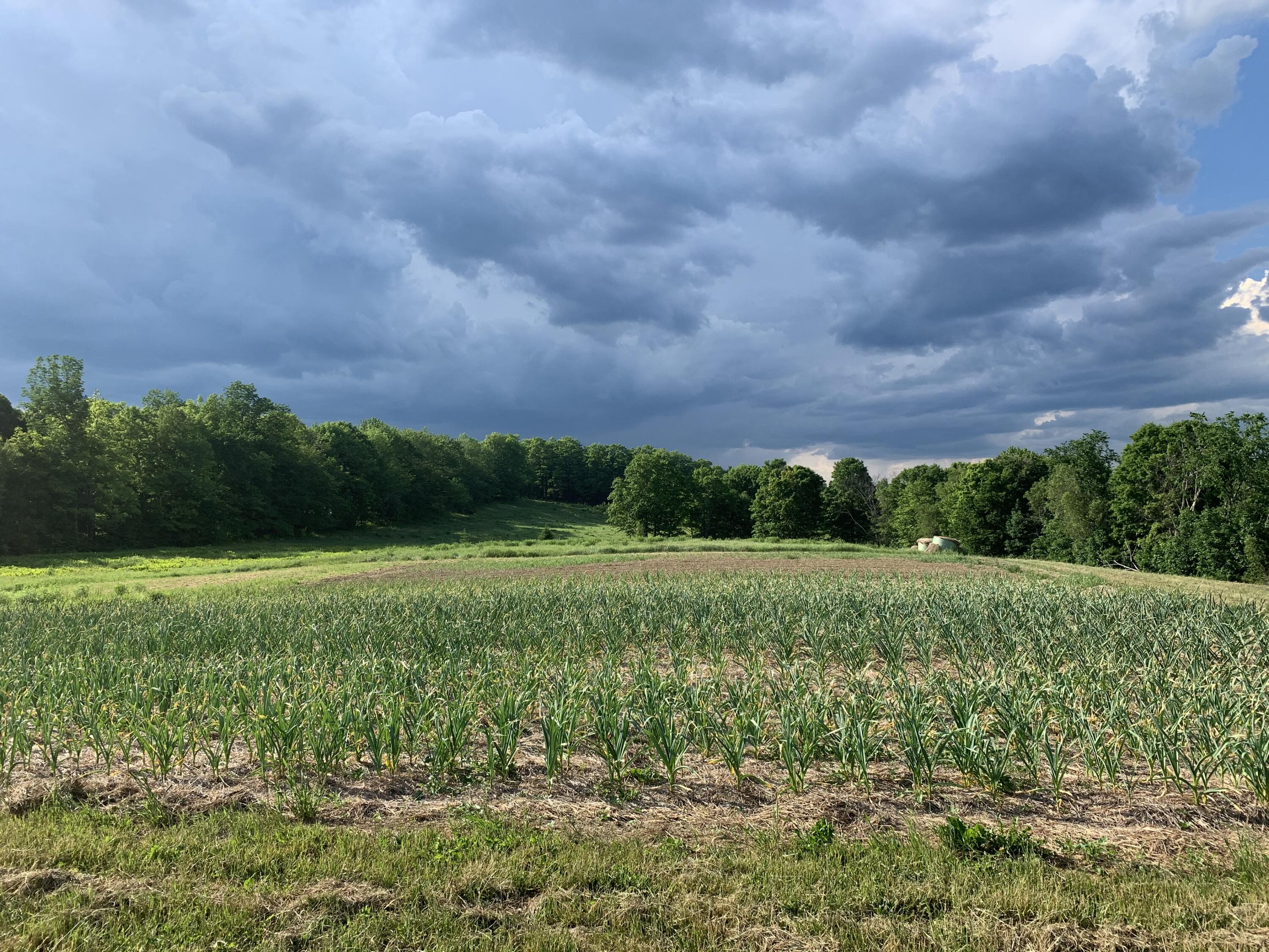 4 Map Road Harmony, ME 04942 - Photo 6 of 20 6