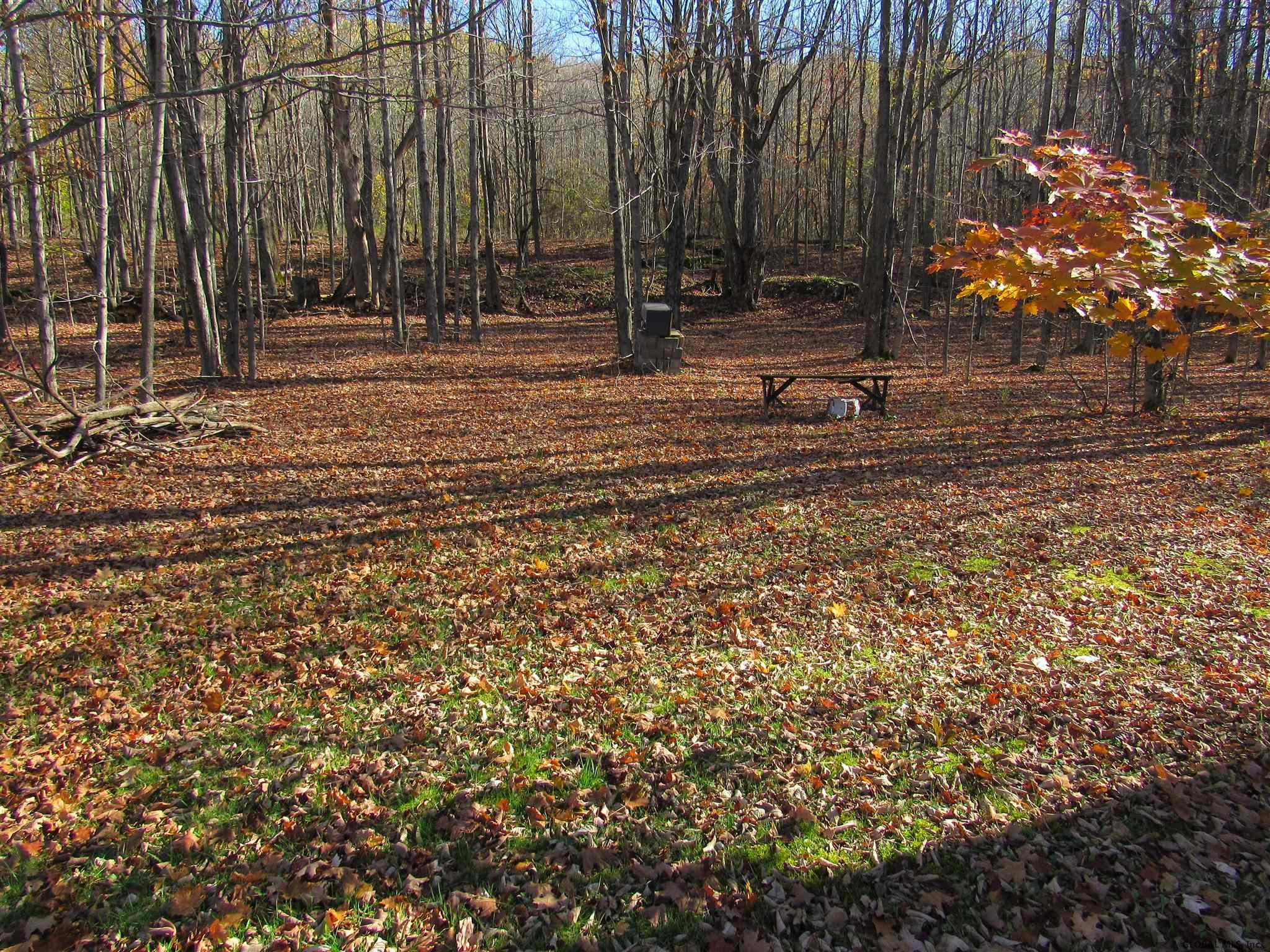 102 Broome Center Road Gilboa, NY 12076 - Photo 11 of 37 Photo 11