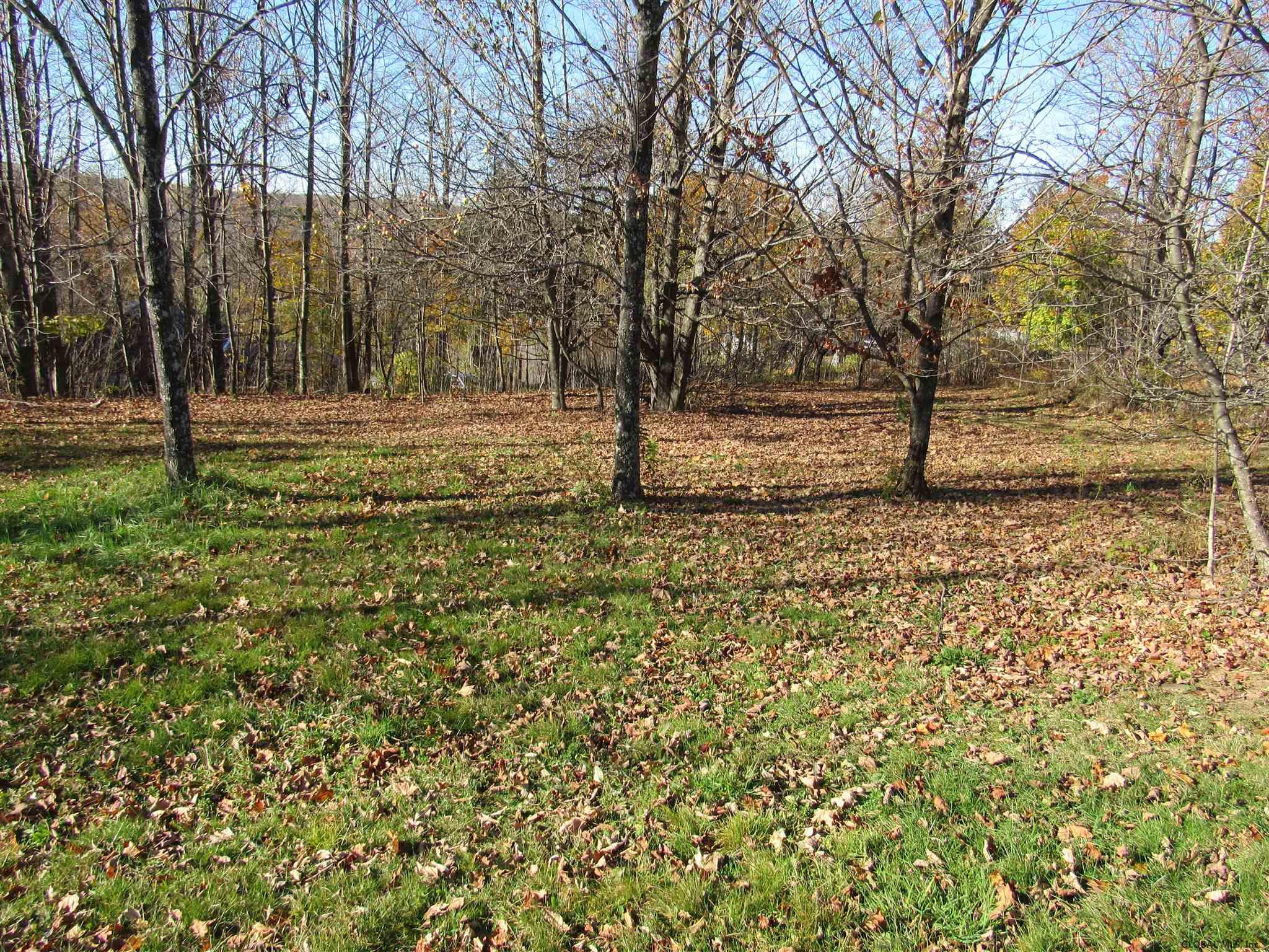 102 Broome Center Road Gilboa, NY 12076 - Photo 10 of 37 Photo 10