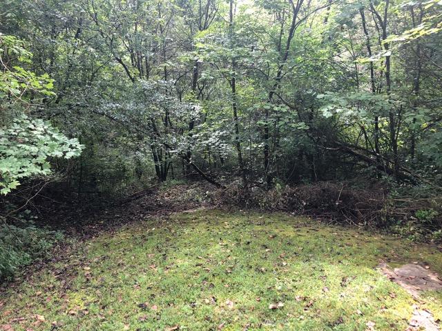 3175 Mutton Hollow Road Kodak, TN 37764 - Photo 14 of 24 IMG_3643