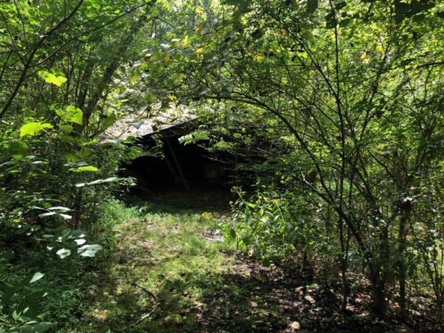 3175 Mutton Hollow Road Kodak, TN 37764 - Photo 15 of 24 IMG_3644