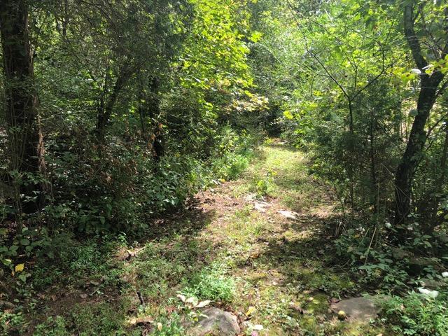 3175 Mutton Hollow Road Kodak, TN 37764 - Photo 16 of 24 IMG_3645