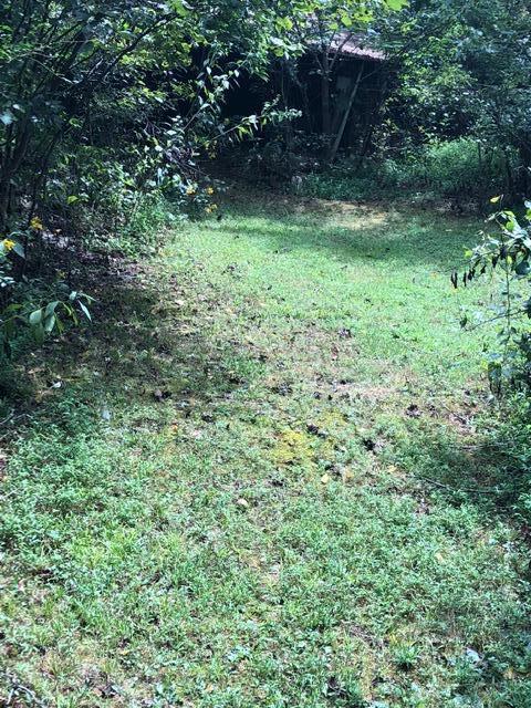 3175 Mutton Hollow Road Kodak, TN 37764 - Photo 19 of 24 IMG_3648