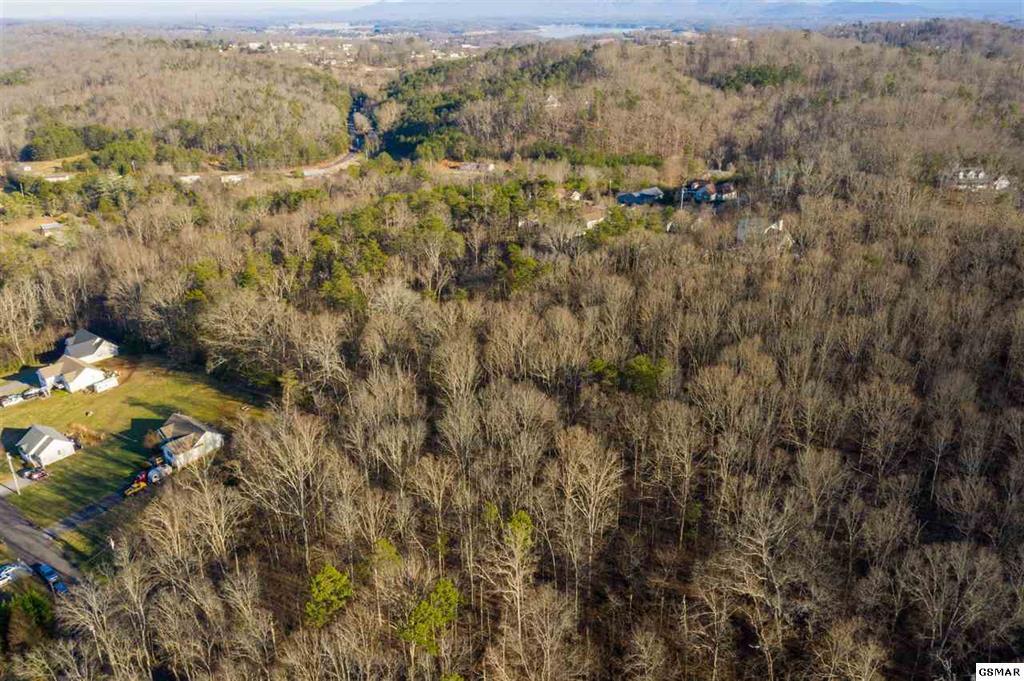 3175 Mutton Hollow Road Kodak, TN 37764 - Photo 3 of 24 219247-2