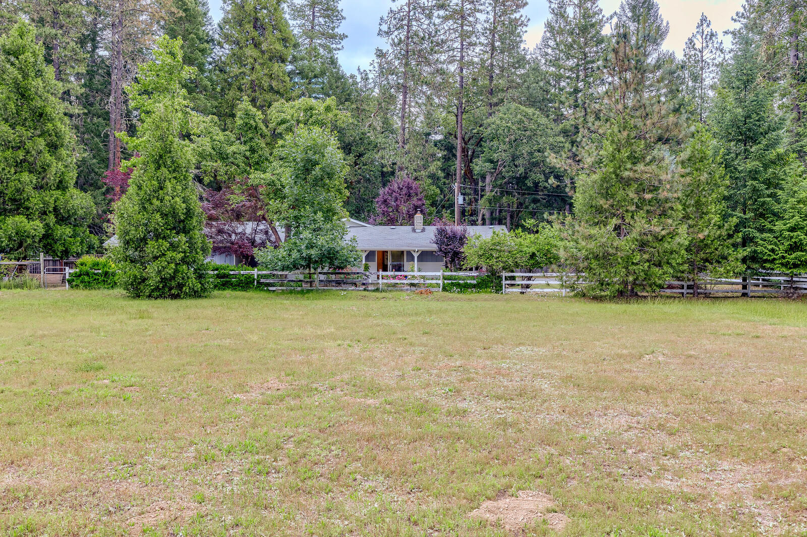 2444 Cedar Flat Road Williams, OR 97544 - Photo 67 of 74 74_CFR_74_mls