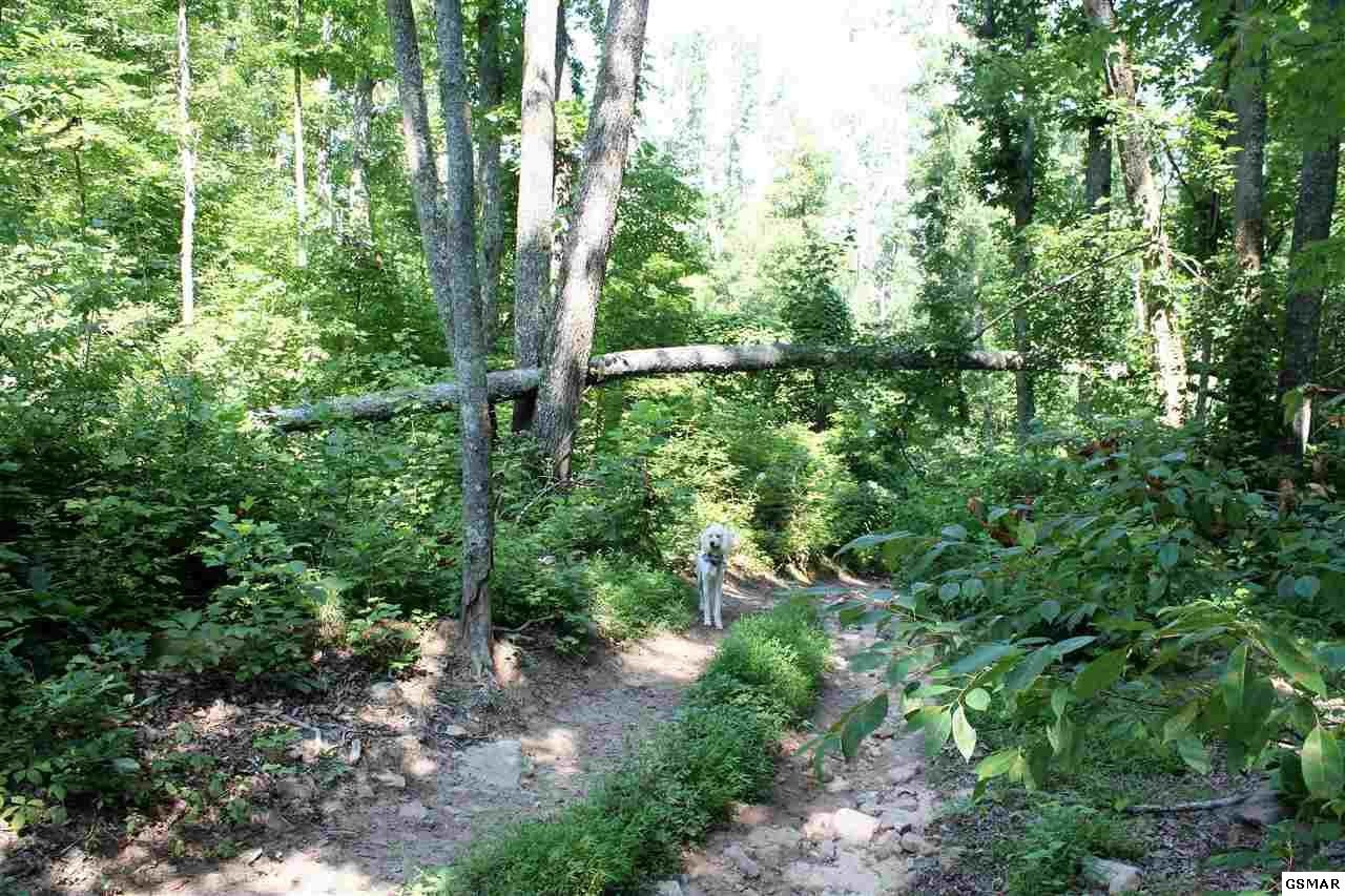 0 Collier Loop Dandridge, TN 37725 - Photo 33 of 35 Gallery Image 33