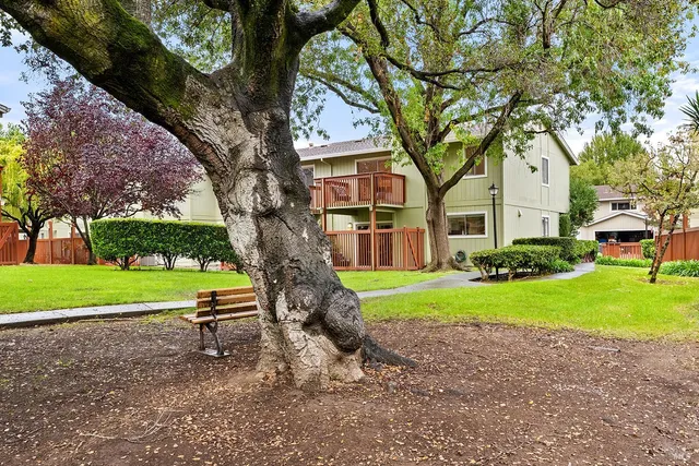 a backyard of a house with outdoor seating and trees