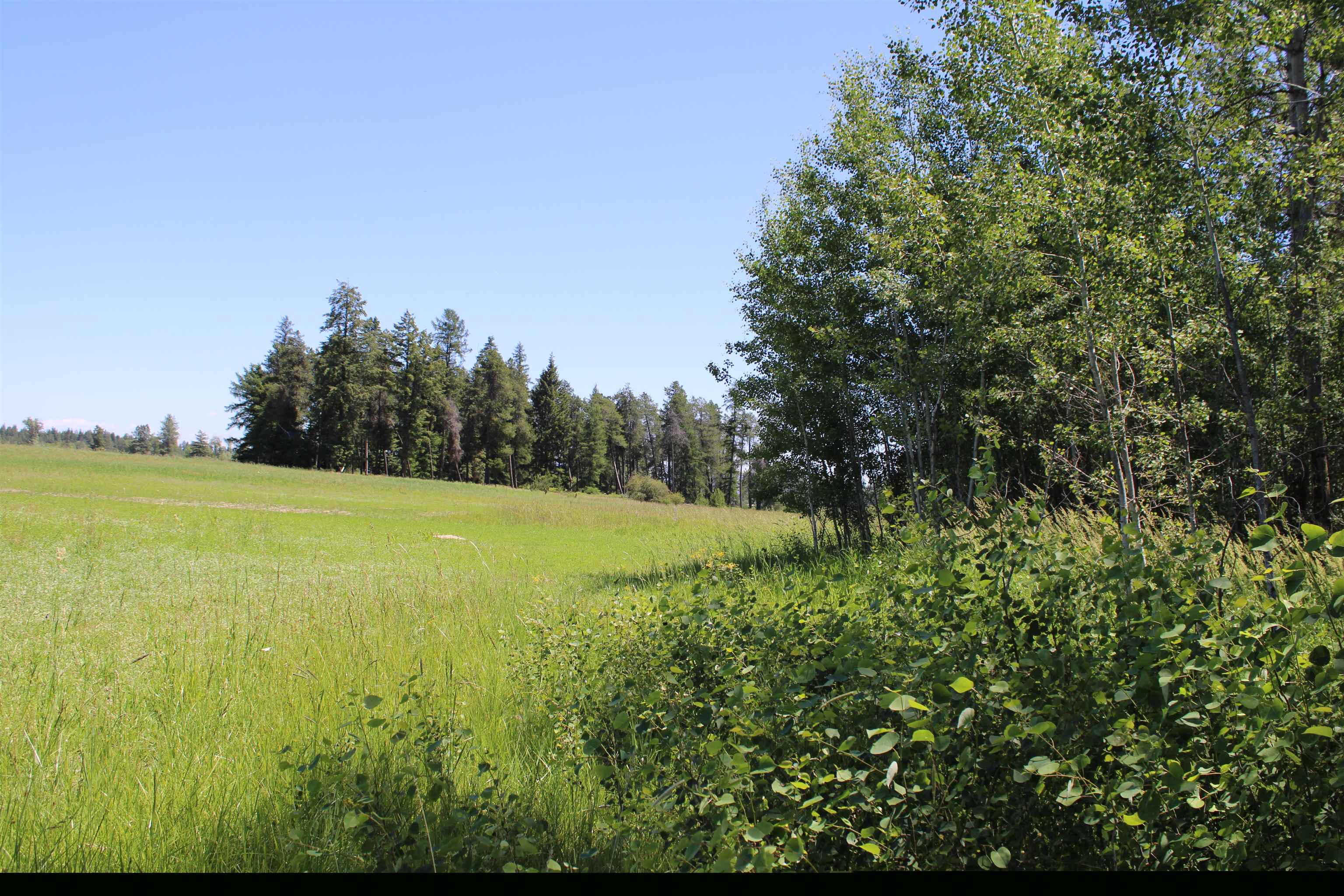 Gibson-dahl West Rd Clayton Wa 99110 Road Clayton, WA 99110 - Photo 6 of 13