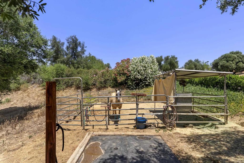 24627 Watt Road Ramona, CA 92065 - Photo 3 of 50