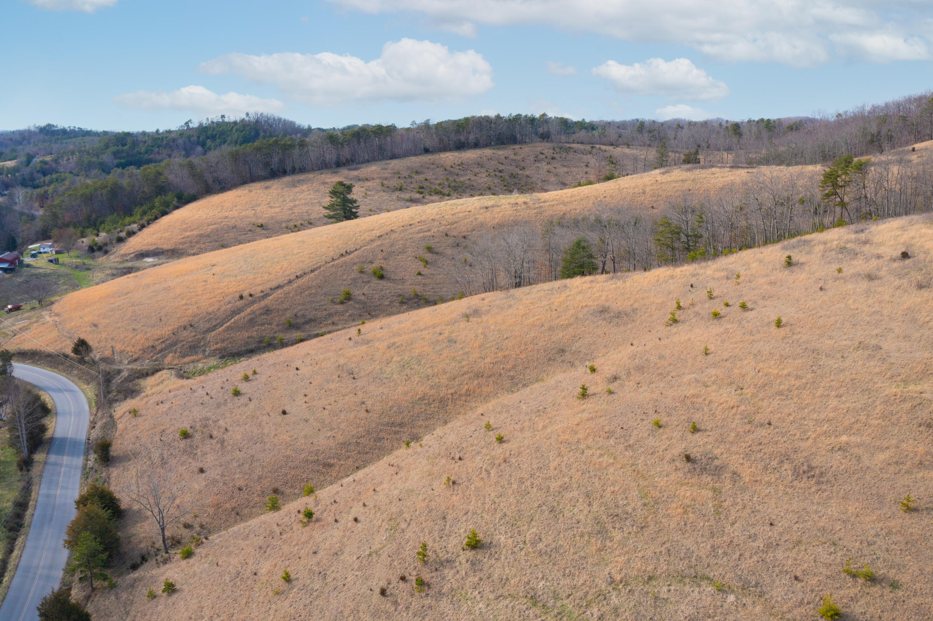 504 Cripple Creek Road Watauga, TN 37694 - Photo 8 of 11 TBD Cripple Creek Road Watauga Tn 37694