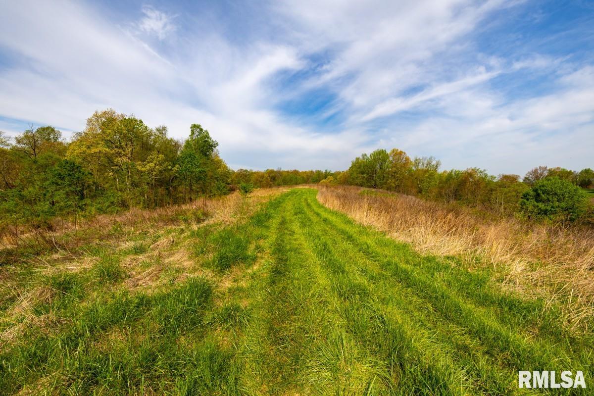 0 Goodman Pond Road Dongola, IL 62926 - Photo 27 of 72 Gallery Image 27