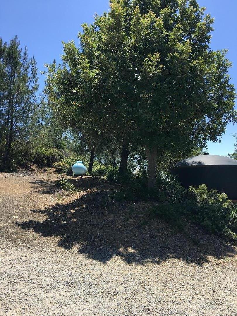 580 Russell Ridge Watsonville, CA 95076 - Photo 17 of 50 a view of a yard with plants and trees