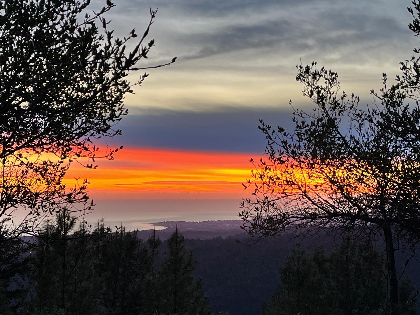 580 Russell Ridge Watsonville, CA 95076 - Photo 5 of 50 a view of a lake in middle of the forest