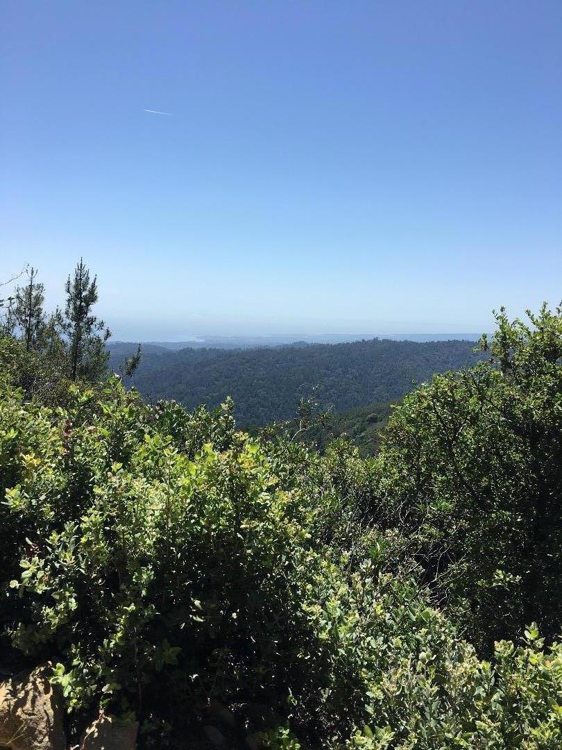 580 Russell Ridge Watsonville, CA 95076 - Photo 8 of 50